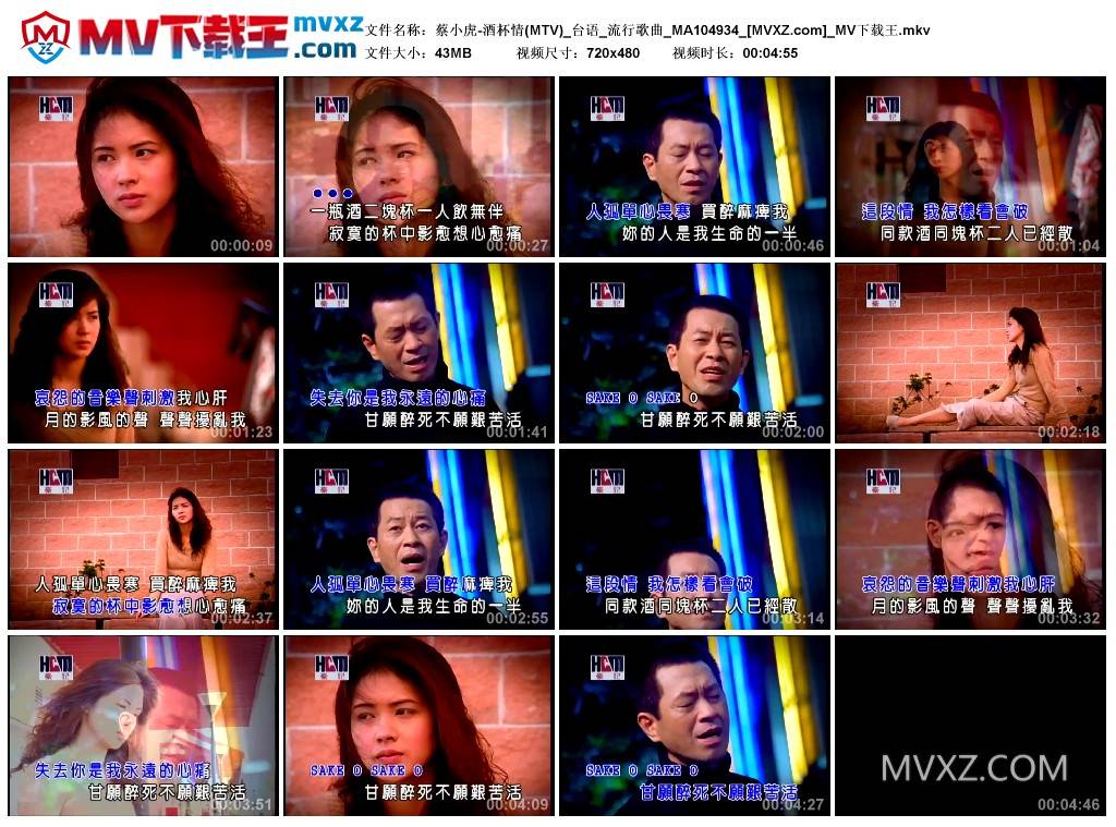 蔡小虎-酒杯情(MTV)_台语_流行歌曲_MA104934